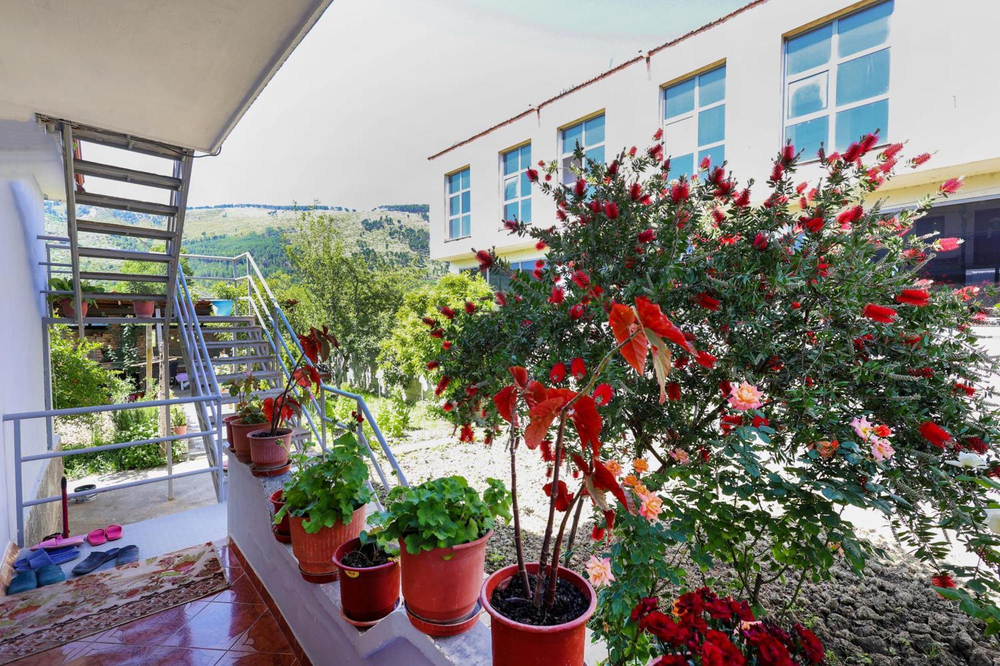 Samuela Cozy Retreat Villa Berat Exterior foto